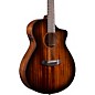 Breedlove Organic Wildwood Pro CE All-African Mahogany Concert Acoustic-Electric Guitar Suede thumbnail