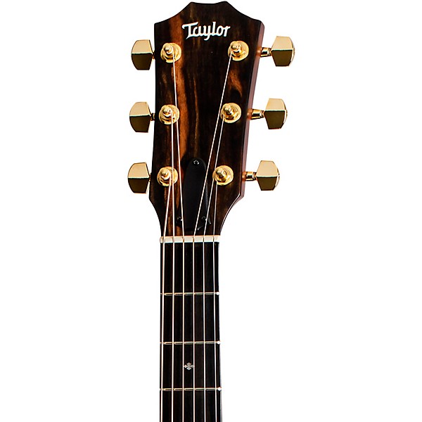 Taylor 224ce Urban Ash DLX Limited-Edition Grand Auditorium Acoustic-Electric Guitar Tobacco Sunburst
