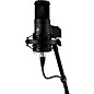 Warm Audio Recording Bundle With WA12-MKII Mic Pre, WA-8000 Condenser Microphone and Premier XLR 15' Mic Cable