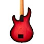 Ernie Ball Music Man StingRay Special H Electric Bass Guitar - Raspberry Burst