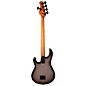 Ernie Ball Music Man StingRay5 Special HH 5-String Electric Bass Guitar Smoked Chrome