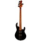 Ernie Ball Music Man StingRay5 Special HH 5-String Electric Bass Guitar Black