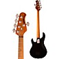 Ernie Ball Music Man StingRay5 Special HH 5-String Electric Bass Guitar Black and Chrome