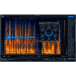 iZotope RX 10 Advanced: Upgrade from RX Elements/Plug-in Pack