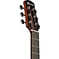 Ibanez AAD50CE Advanced Sitka Spruce-Sapele Grand Dreadnought Acoustic-Electric Guitar Charcoal Burst