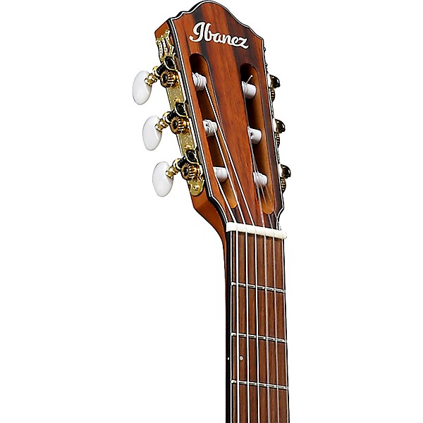 Ibanez FRH10N Nylon-String Acoustic-Electric Guitar Brown Sunburst Flat