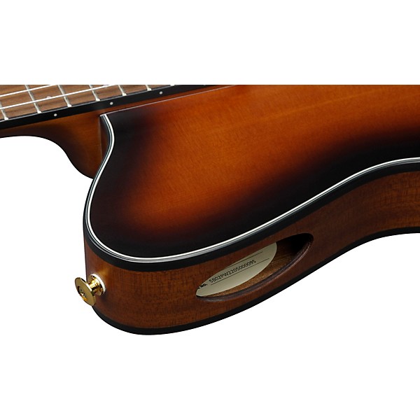 Ibanez FRH10N Nylon-String Acoustic-Electric Guitar Brown Sunburst Flat