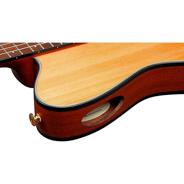 Ibanez FRH10N Nylon-String Acoustic-Electric Guitar Natural Flat