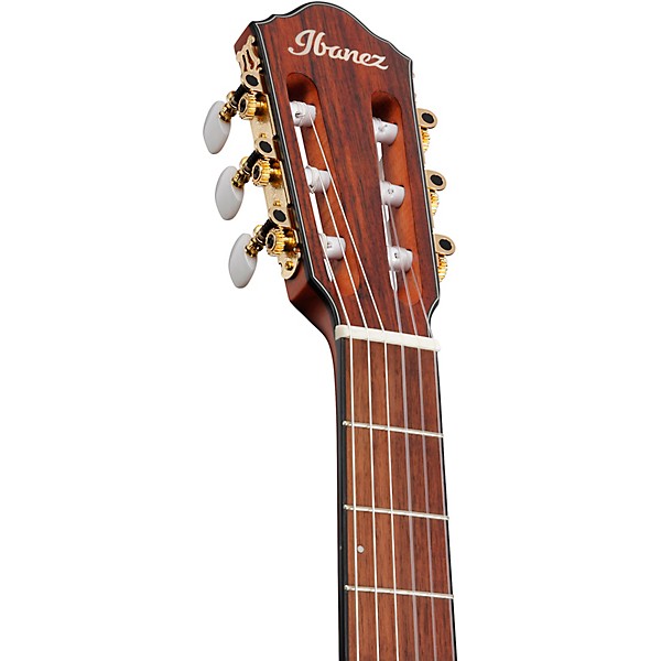 Ibanez FRH10N Nylon-String Acoustic-Electric Guitar Rose Gold Metallic Flat