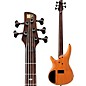 Ibanez Premium SR1355B 5-String Electric Bass Dual Mocha Burst Flat