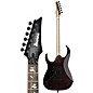 Ibanez RG8870 RG J. Custom Axe Design Lab Electric Guitar Black Rutile