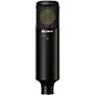 Open Box Sony C-80 Dual-Diaphragm Condenser Microphone Level 1 thumbnail
