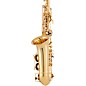 Conn CAS211 Alto Saxophone Lacquer