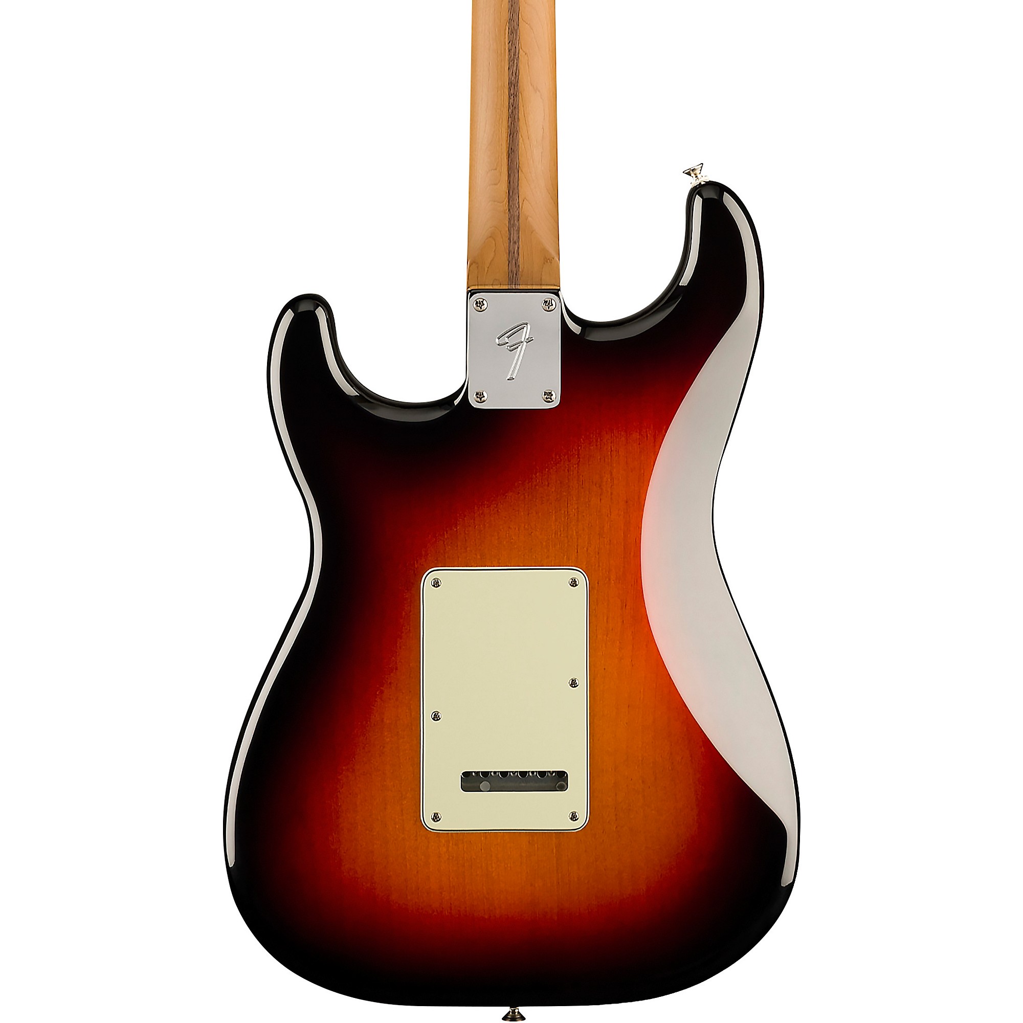 Fender Limited-Edition Player Stratocaster Roasted Pau Ferro Fender Limited-Edition Player Stratocaster Roasted Pau Ferro