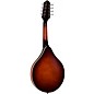 The Loar Honey Creek A-Style LM-110E Acoustic-Electric Mandolin Brownburst