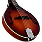 The Loar Honey Creek A-Style LM-110E Acoustic-Electric Mandolin Brownburst