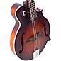 The Loar Honey Creek F-Style LM-310FE Acoustic-Electric Mandolin Brownburst Brownburst