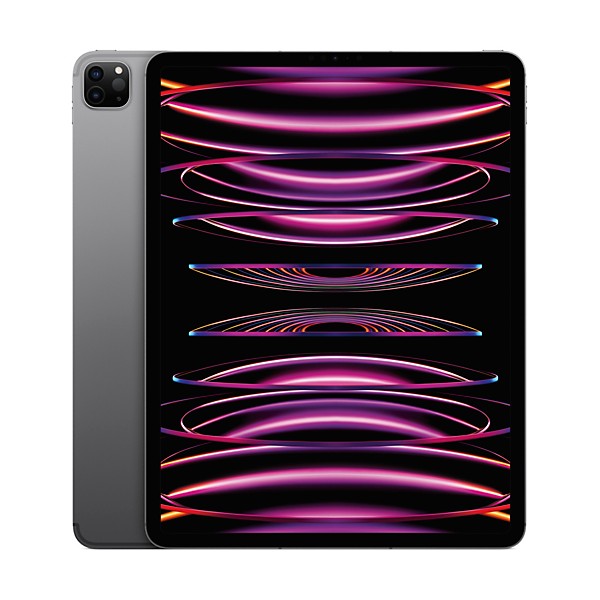 Apple 12.9-inch iPad Pro M2 Wi-Fi + Cellular 256GB - Space Gray