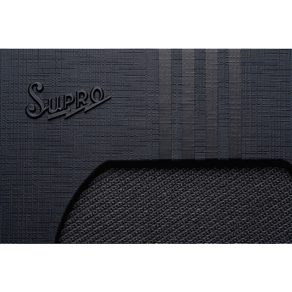 Supro Delta King 10 1x10 5W Tube Guitar Combo Amp Black