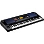 Open Box KORG EK-50 U 61-Key Arranger Keyboard Level 1