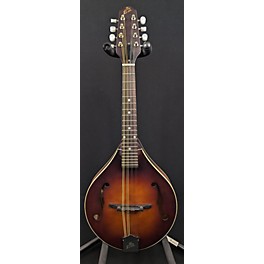 Used The Loar LM110 BRB Mandolin