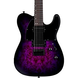ESP LTD TE-200DX Electric Guitar Purple Burst