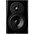 Dynaudio LYD 5 5" Powered Studio Monitor (Each) - Black 