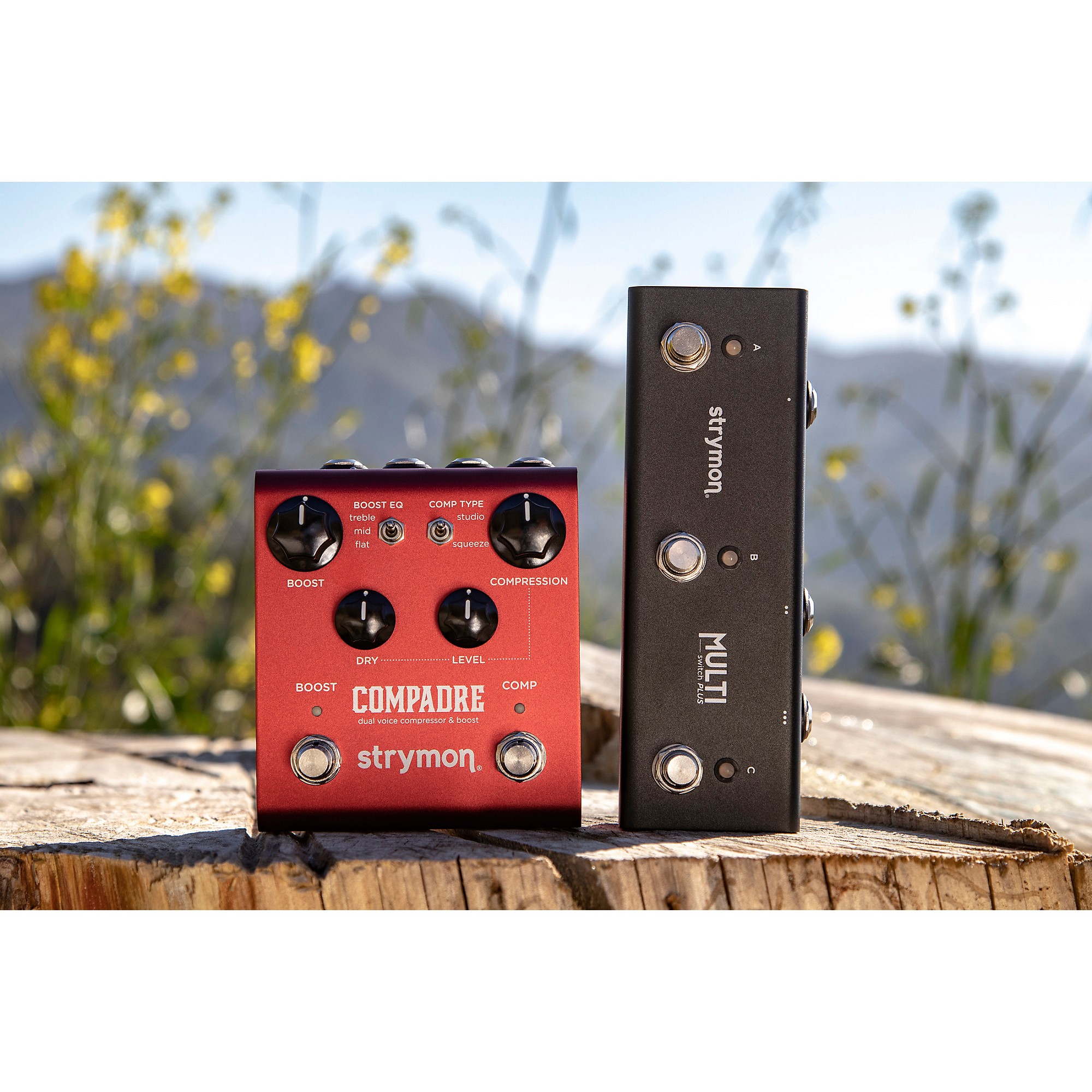 ギター strymon COMPADRE Amazon.com: Strymon Compadre Dual Voice Compressor and Boost