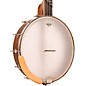Gold Tone HM-100 High Moon Openback Banjo Mahogany Satin