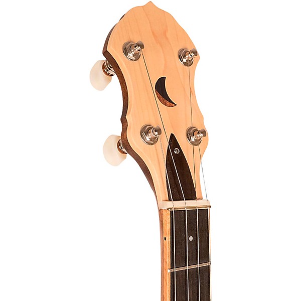 Gold Tone HM-100 High Moon Openback Banjo Mahogany Satin