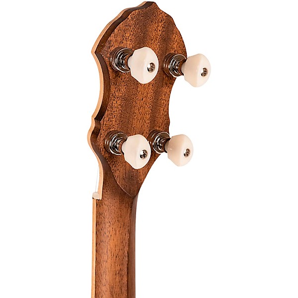 Gold Tone HM-100 High Moon Openback Banjo Mahogany Satin