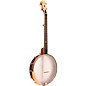 Gold Tone HM-100 A-Scale High Moon Openback Banjo Mahogany Satin thumbnail