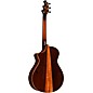 Breedlove Premier CE Brazillian Rosewood Limited Edition Concert Acoustic-Electric Guitar Edge Burst