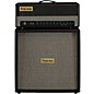 Friedman JJ-100 Jerry Cantrell 100W Head