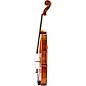 Scherl and Roth SR61 Sarabande Series Intermediate Violin Outfit 4/4