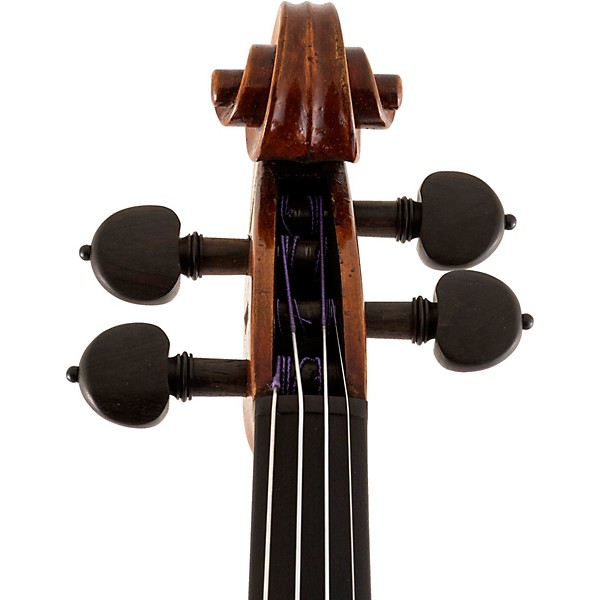 Scherl and Roth SR71 Series Professional Violin Outfit 4/4