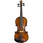 Scherl and Roth SR81G Guarneri Series Professional Violin Outfit 4/4 thumbnail