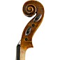 Scherl and Roth SR81G Guarneri Series Professional Violin Outfit 4/4