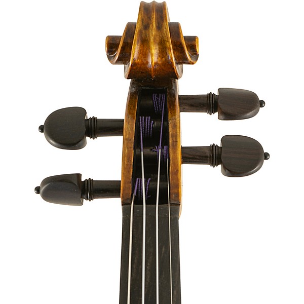 Open Box Scherl and Roth SR81G Guarneri Series Professional Violin Outfit Level 2 4/4 197881099381