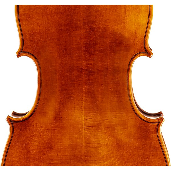 Scherl and Roth SR62 Sarabande Series Intermediate Viola Outfit 16.5 in.