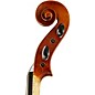 Scherl and Roth SR62 Sarabande Series Intermediate Viola Outfit 15.5 in.