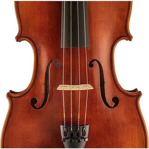 Scherl and Roth SR62 Sarabande Series Intermediate Viola Outfit 15.5 in.