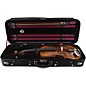 Scherl and Roth SR82 Stradivarius Series Professional Viola Outfit 16.5 in.