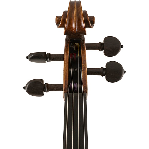 Scherl and Roth SR82 Stradivarius Series Professional Viola Outfit 15 in.