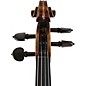 Scherl and Roth SR72 Series Professional Viola Outfit 16.5 in.