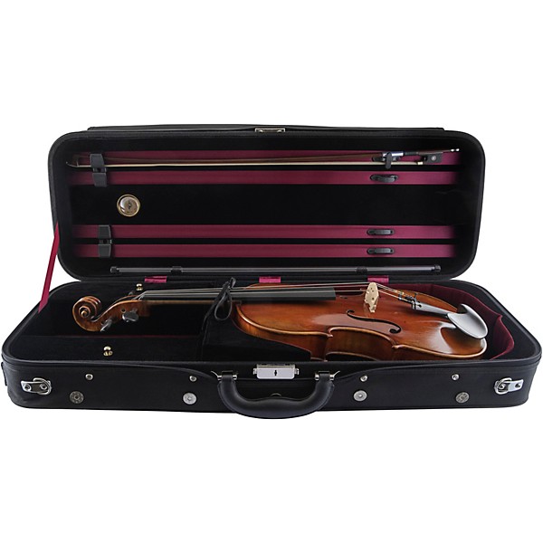 Scherl and Roth SR72 Series Professional Viola Outfit 16 in.
