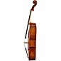 Scherl and Roth SR65 Sarabande Series Intermediate Cello Outfit 4/4