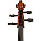 Scherl and Roth SR65 Sarabande Series Intermediate Cello Outfit 4/4