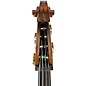 Scherl and Roth SR68 Sarabande Series Intermediate Double Bass Outfit 3/4