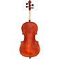 Scherl and Roth SR75 Series Professional Series Cello Outfit 4/4
